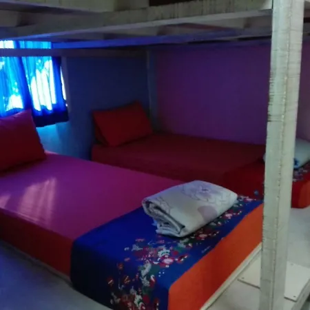 K&M House Apartment